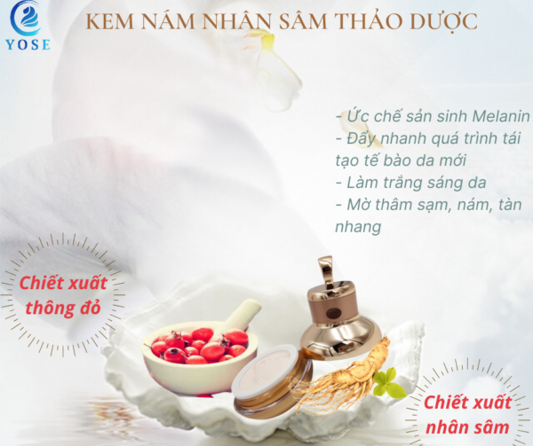 kem-nam-nhan-sam-yose-02-600x503