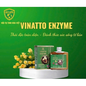 PHÒNG CHỐNG ĐỘT QUỴ VINATTO ENZYME